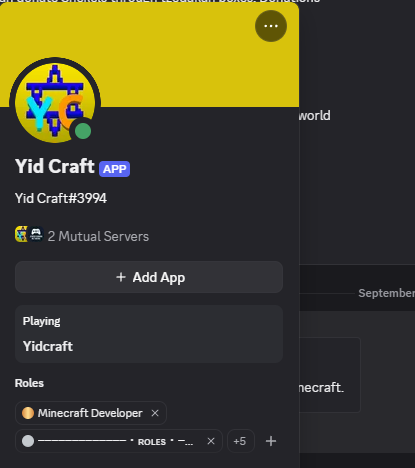 The Yid Craft bot's profile in Discord